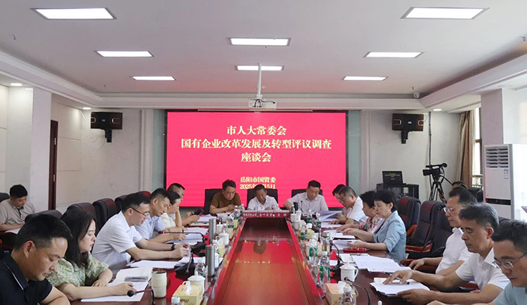 國有企業(yè)改革發(fā)展及轉(zhuǎn)型工作評(píng)議調(diào)查座談會(huì)舉行