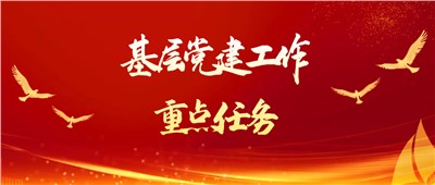 2023年基層黨建工作重點任務(wù)