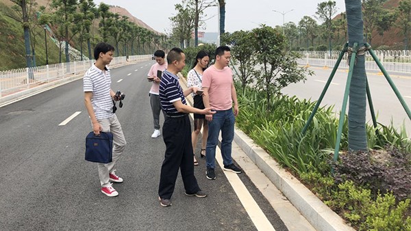 市園林局領(lǐng)導(dǎo)一行調(diào)研公司趕山東路綠化工程項(xiàng)目