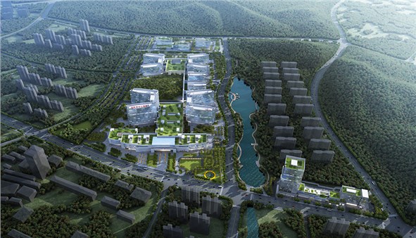 岳陽市中心醫(yī)院暨配套工程項目正式開工建設(shè)