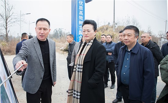 魏淑萍實(shí)地調(diào)研G353岳陽(yáng)東站至洞庭湖大橋公路工程項(xiàng)目